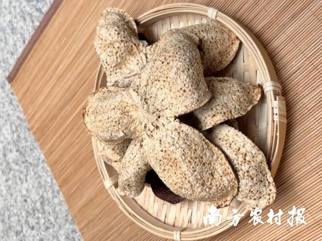 受訪者供圖