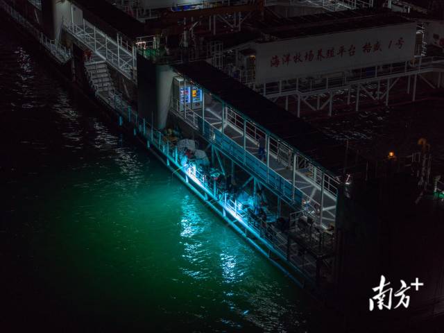 6月7日,晚上,养鱼人和游客一起在平台上钓鱿鱼,海钓是“格盛1号”的特色旅游项目。 6月7日,晚上,养鱼人和游客一起在平台上钓鱿鱼,海钓是“格盛1号”的特色旅游项目。