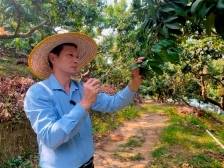 这名“新农人”，在“世界工厂”用新思维玩转荔枝园｜甜蜜一厦