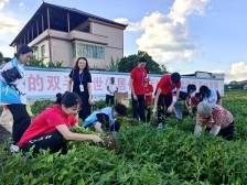 青春赋能“百千万”！蕉岭共青团构建青年下乡返乡兴乡的全链条服务体系