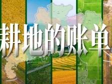 广东耕地的账单 | 广东省纪念第35个全国土地日宣传片