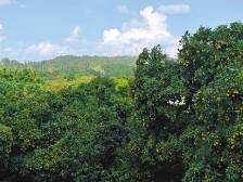 “国字号”名片擦亮城市文明 | 一文速览《南方日报·阳春视窗》54期