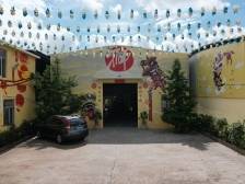 番禺汀根村：常胜之狮，全球争霸｜广州百村观察