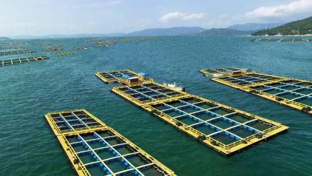 省农业农村厅：筑牢“蓝色粮仓” 唱响“海洋牧歌”