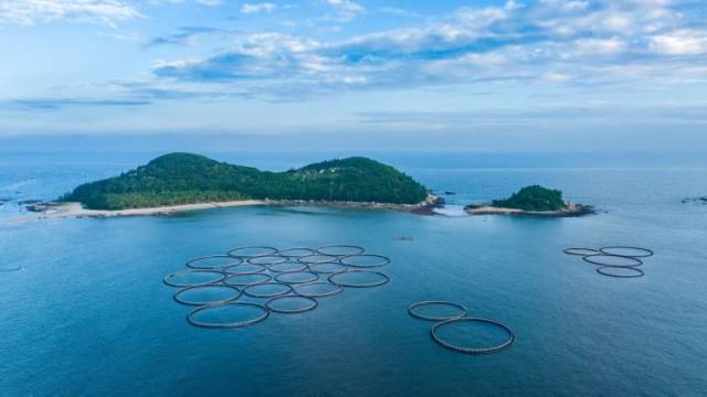 阳江：向海图强 竞逐深蓝