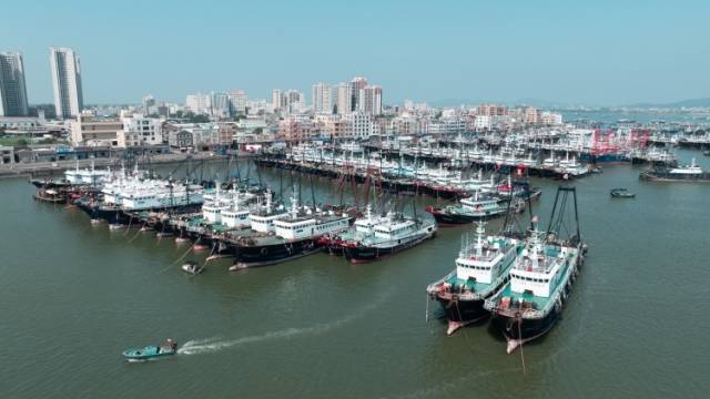 茂名：千年渔港展宏图 活力新城向海兴