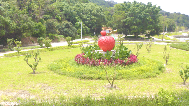 赤坪荔枝公園,。  