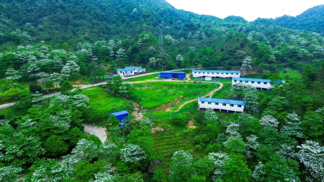 廣東唯一的供港冰鮮羊養(yǎng)殖基地——智慧羊標準化創(chuàng)新研究基地,。
