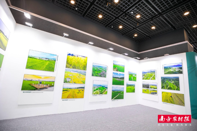 “镜观耕地”板块用镜头记录下广东各地耕地保护的壮美成果