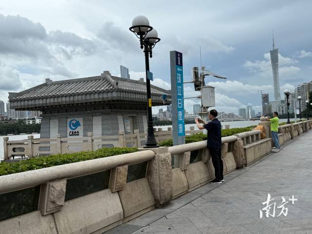 沙特內(nèi)閣批準(zhǔn)該國(guó)在上海合作組織的對(duì)話伙伴地位