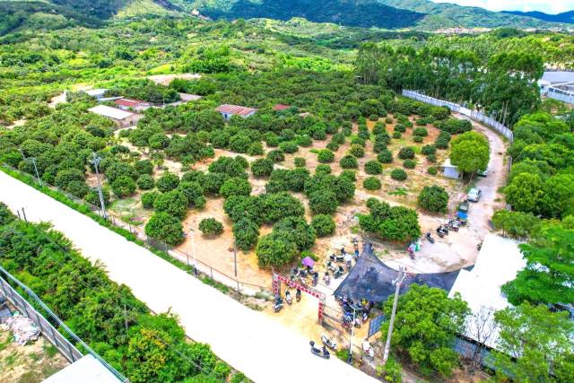 雷岭镇良种栽培示范园。 雷岭镇良种栽培示范园。