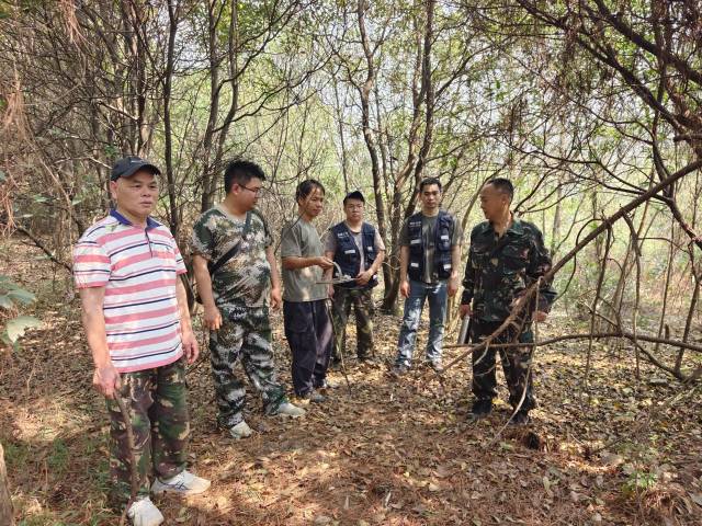 广东省西江林场联合开展“清风行动2025”重点区域专项巡查行动