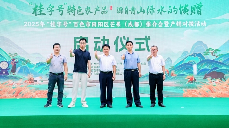 “桂字號(hào)”田陽(yáng)芒果進(jìn)成都，2025年百色市田陽(yáng)區(qū)芒果（成都）推介會(huì)暨產(chǎn)銷對(duì)接活動(dòng)啟幕