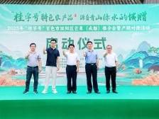 “桂字号”田阳芒果进成都，2025年百色市田阳区芒果（成都）推介会暨产销对接活动启幕