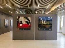 鄂博玉器、吴冠中画作、侨批书信……别错过这些展览｜在+看展