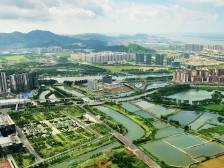 “超级设计师”绘蓝图，南沙国土空间总规微课堂开栏