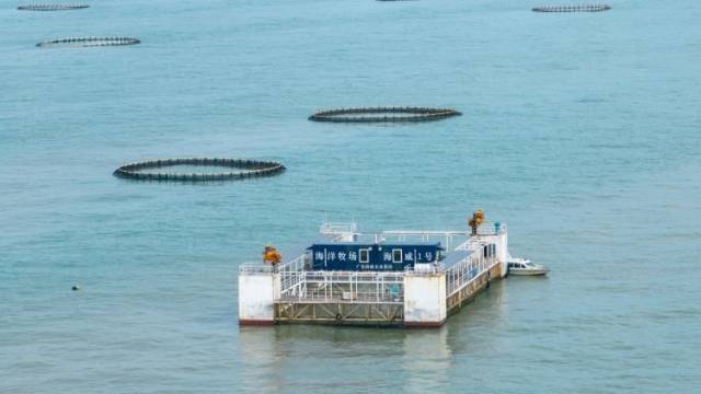 连续30年居全国第一，广东何以奏响“海洋牧歌”｜区域观察