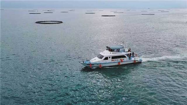 广东人保财险：创新蓝色保险 守护“粤海粮仓”