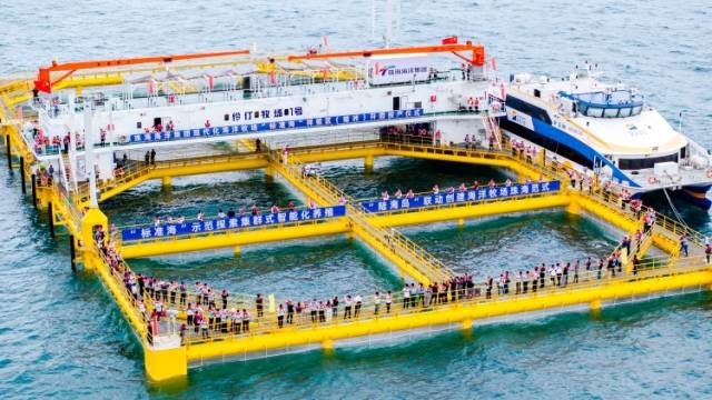 农行广东省分行：引“金”入海，描绘海洋经济新画卷