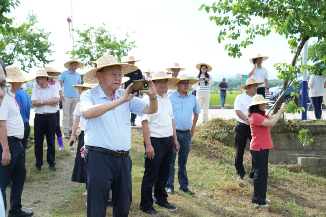 与会人员前往怀集县中洲镇、连麦镇节水抗旱稻示范基地进行实地调研。
