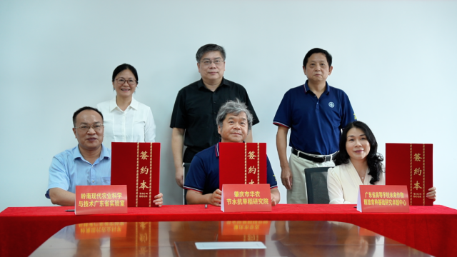 沙埔育种基地共建签约仪式。