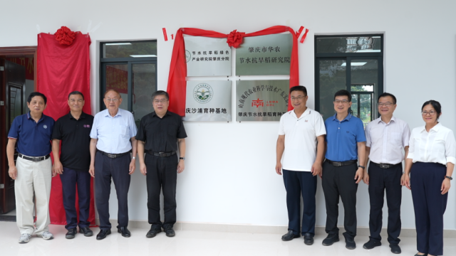 肇庆市华农节水抗旱稻研究院揭牌仪式举行。