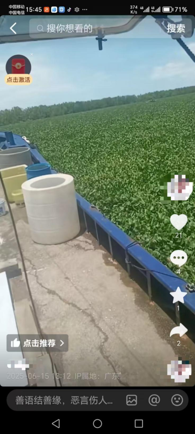 水浮莲将水面铺平，连渔船都无法开出去。