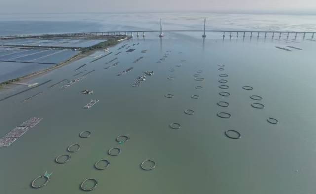 该养殖基地原来的景象。