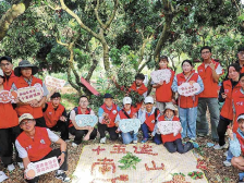 “小海豚”聚荔林，深圳启动十五运志愿者岗前动员