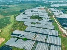 百千万见成效③| 破题集体经济，江城区有妙招