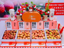 广东荔枝“圈粉”新疆，北上布局出海新通道