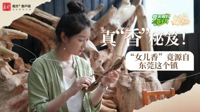 真“香”秘笈！“女儿香”竟源自东莞这个镇