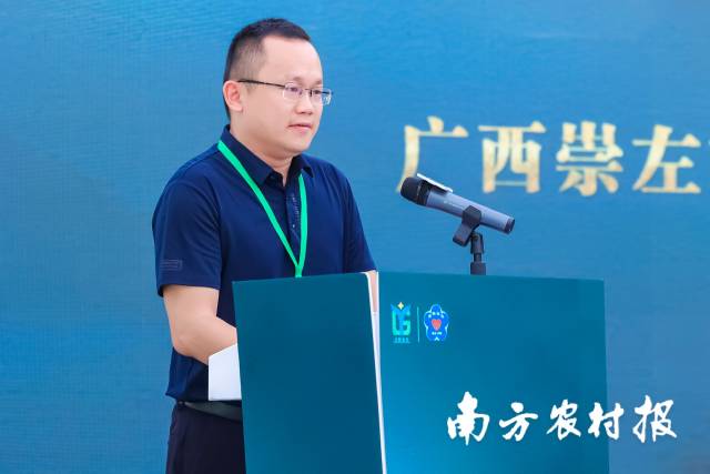 崇左市南国星油藤研究所所长农大卫表示，星油藤是天然植物中的“尿酸调节器”。