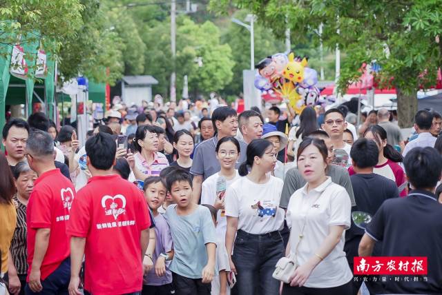四海游客奔赴荔鄉(xiāng)雷嶺。  