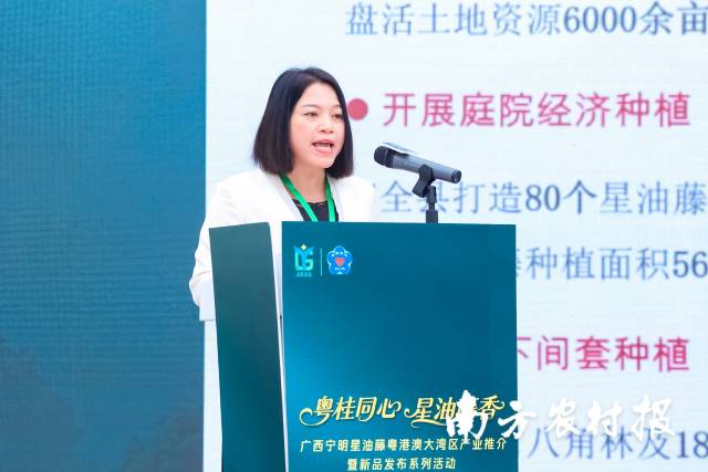 宁明县人民政府党组成员、副县长蒙建桂。