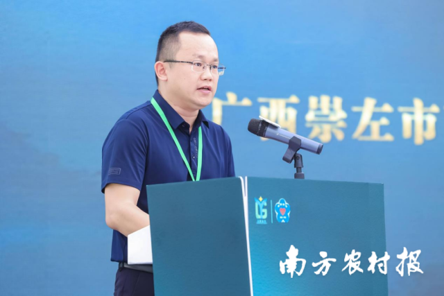 崇左市南国星油藤研究所所长农大卫现场作报告。