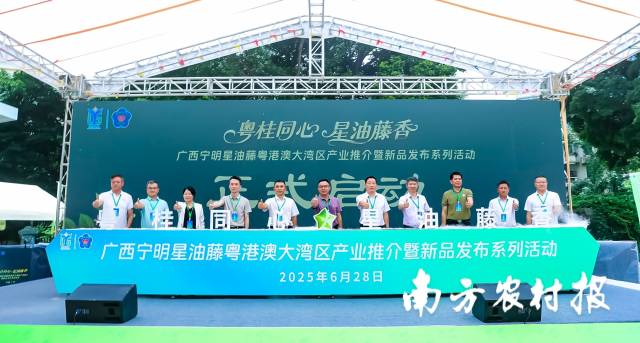 与会嘉宾共同启动本次活动。