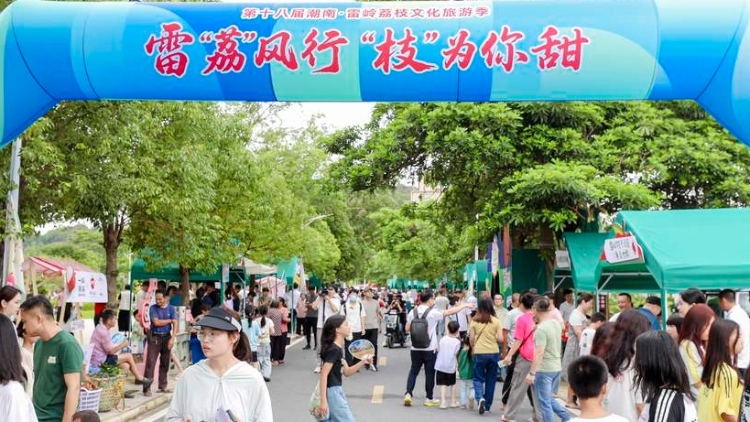 多圖 | 雷嶺有實“荔”,，盛夏甜蜜蜜,！