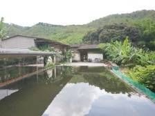 今年200万+！罗浮山下空心村如何致富｜寻迹218最美公路