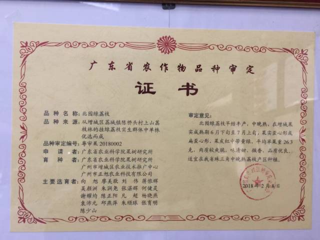 北園綠荔枝通過(guò)廣東省農(nóng)作物品種審定的證書(shū),。