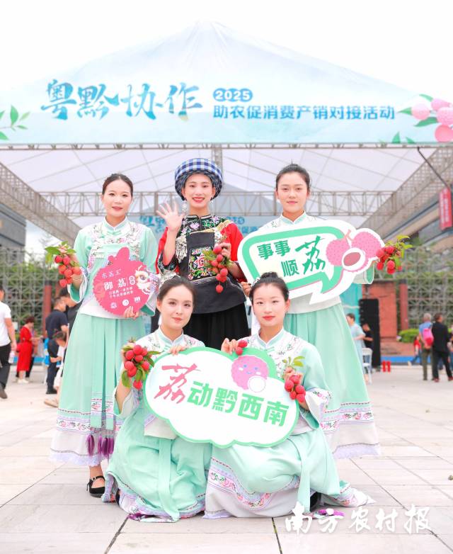 黔西南布依族姑娘點(diǎn)贊廣東惠州荔枝.