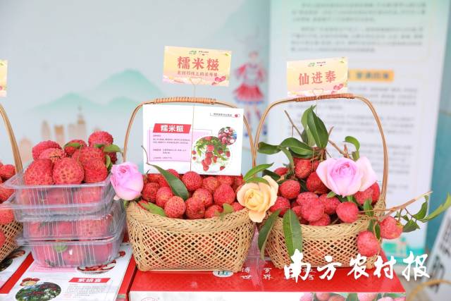 廣東惠州荔枝在活動現(xiàn)場展示展銷。