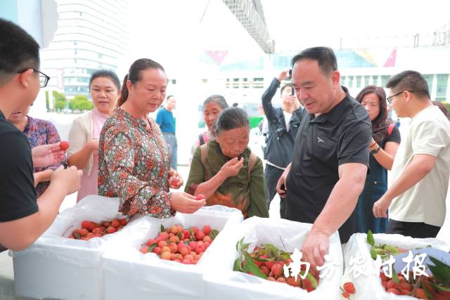 黔西南州市民品嘗冊亨荔枝,。