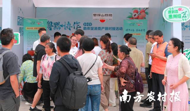 惠州荔枝展位圍滿了嘗鮮的市民,。