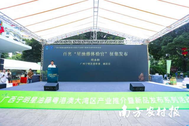寧明縣委常委,、副縣長胡永桂現場發(fā)布百名“星油藤體驗官”征集令,。