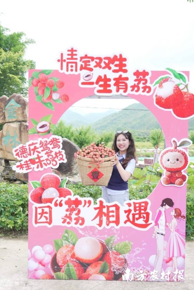 南方農(nóng)村報 王富迪 拍攝