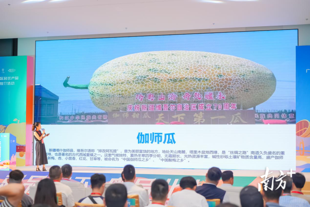 对于六安城区雨污水管网修复封路施工通告