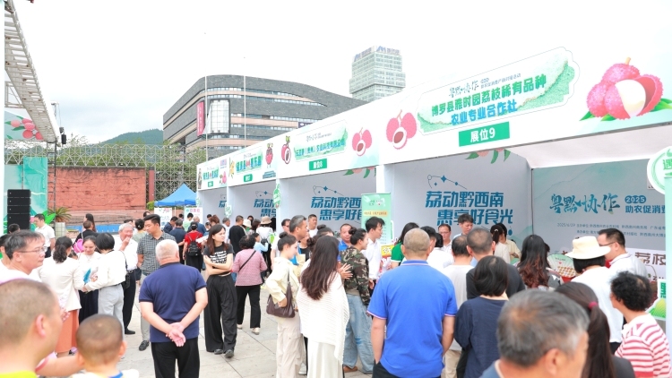 觀察 | 熱賣黔西南,，惠州荔枝憑什么,？