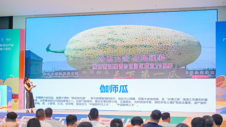 百款疆品南下入粵,！企業(yè)熱情推介邀約品鑒