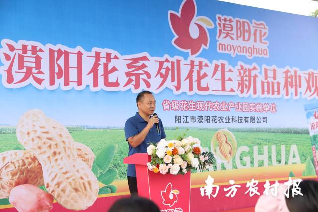 國(guó)家花生產(chǎn)業(yè)技術(shù)體系崗位專家,、廣東省農(nóng)科院作物所花生室主任魯清 